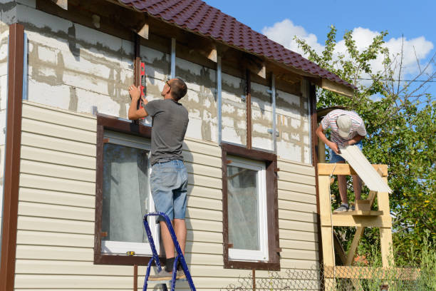 Best Insulated Siding Installation  in Eloy, AZ